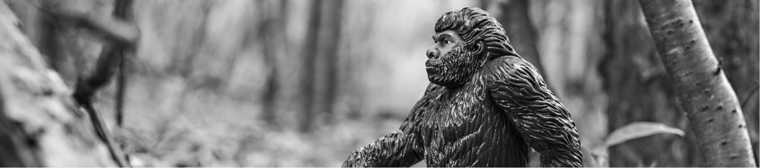 IN ALL SINCERITY 誠心誠意