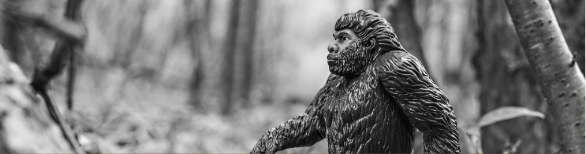 IN ALL SINCERITY 誠心誠意